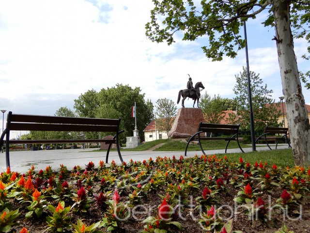 Virágos Berettyóújfalu 07